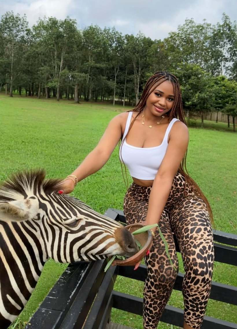 ๐ฟ Safari Valley, Waterfalls & Cocoa Farm Adventure photo 4