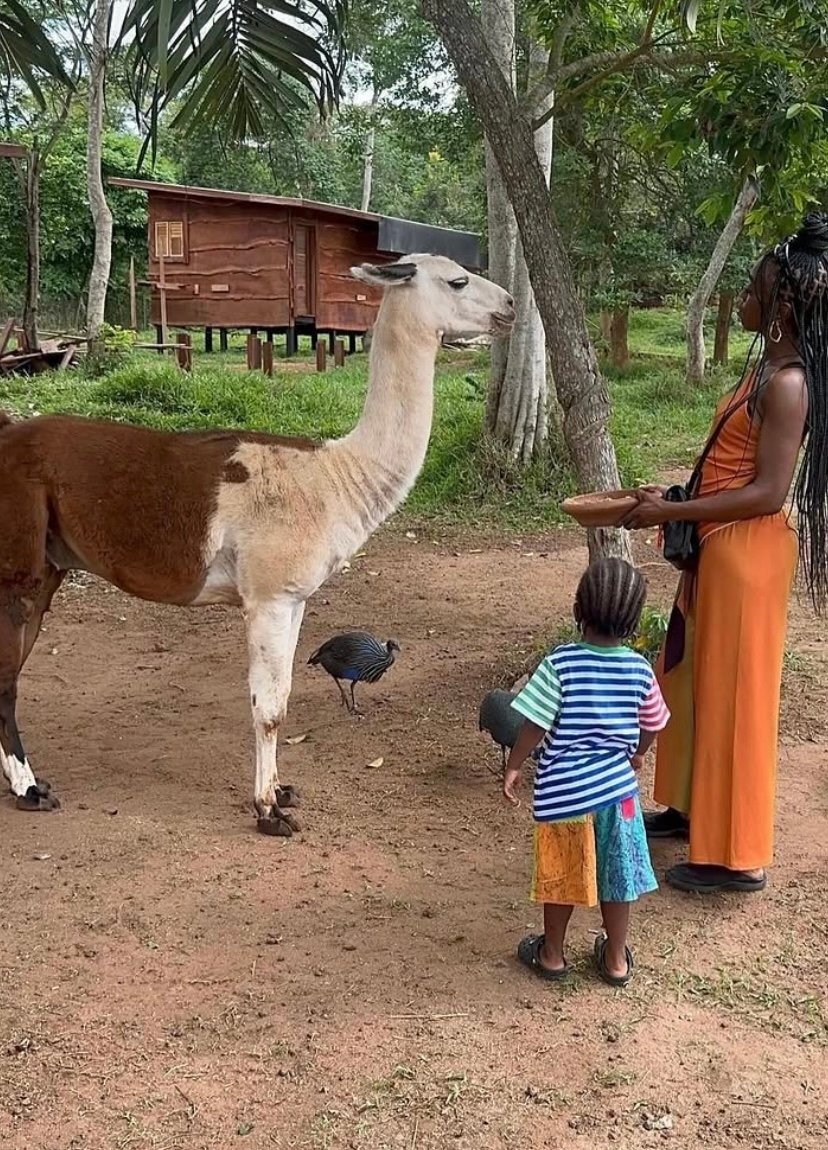 πΏ Safari Valley Resort A Full Day Experience photo 11