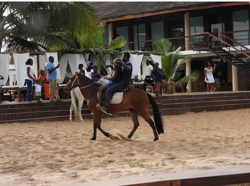 Full-Day Private Aqua Safari Adventure photo 7