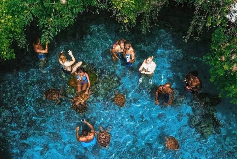 7 Days / 6 Nights Premium Zanzibar Holiday Experience photo 5