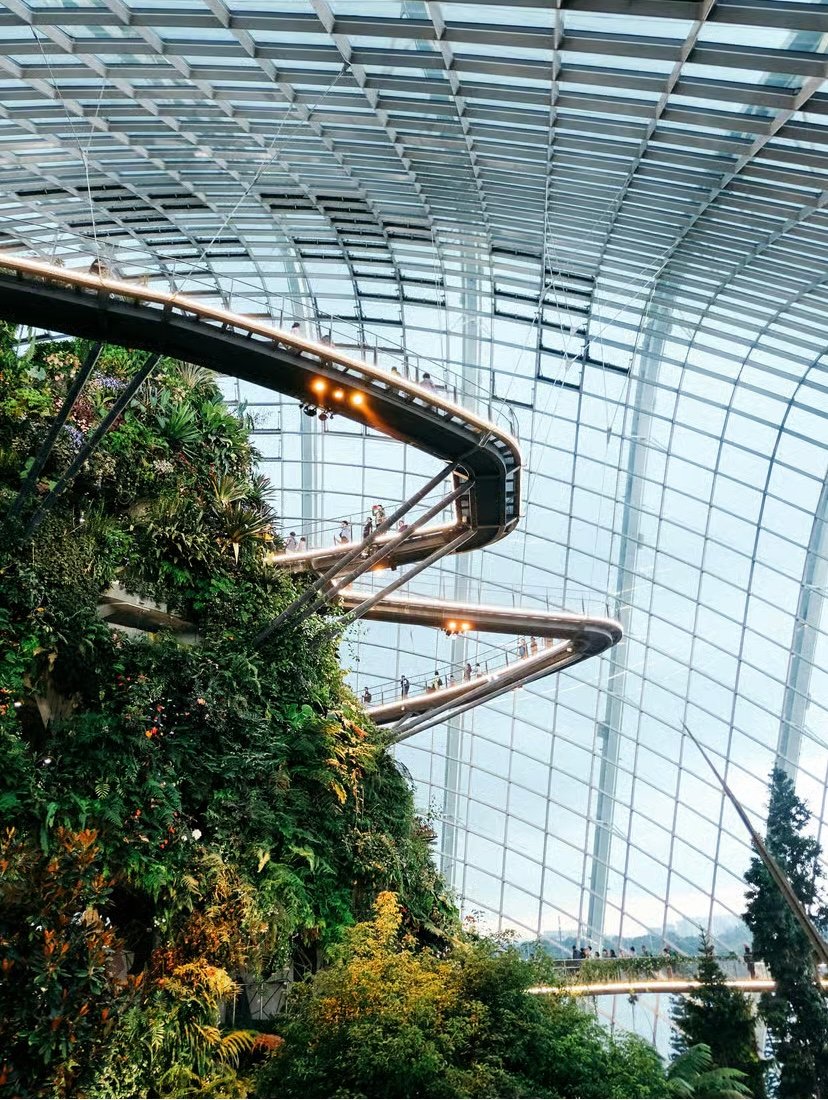 8 Days / 7 Nights Premium Singapore Holiday Package photo 11