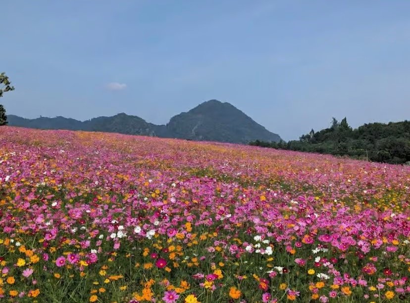 8 Days / 7 Nights Premium Thailand Holiday Package photo 12