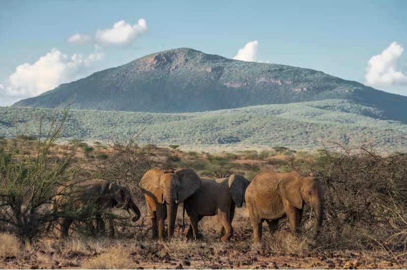 10-Days Kenya & Tanzania Group Sa photo 11